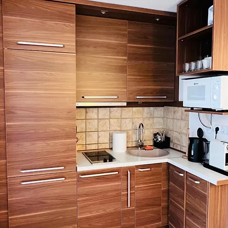 Bio Wood Poilsis Prie Juros Apartment Palanga