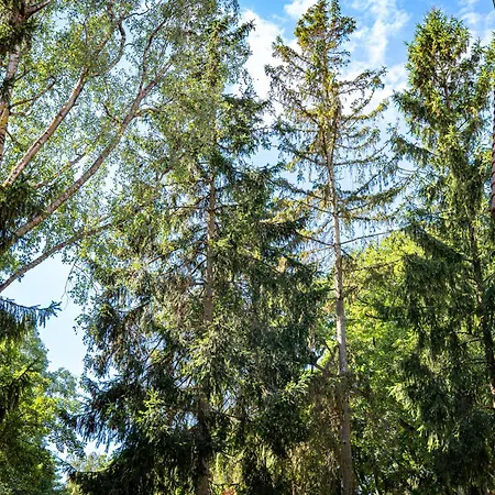 Διαμέρισμα Bio Wood Poilsis Prie Juros Παλάγκα