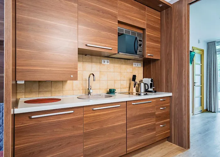 Апартаменты Bio Wood Poilsis Prie Juros Паланга