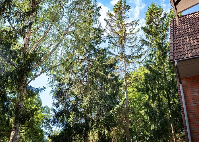 Апартаменты Bio Wood Poilsis Prie Juros Паланга